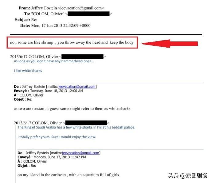爱泼斯坦邮件中随意谈论了斩首女孩的事情，但与爱泼斯坦交谈的人被涂黑了名字

“不
