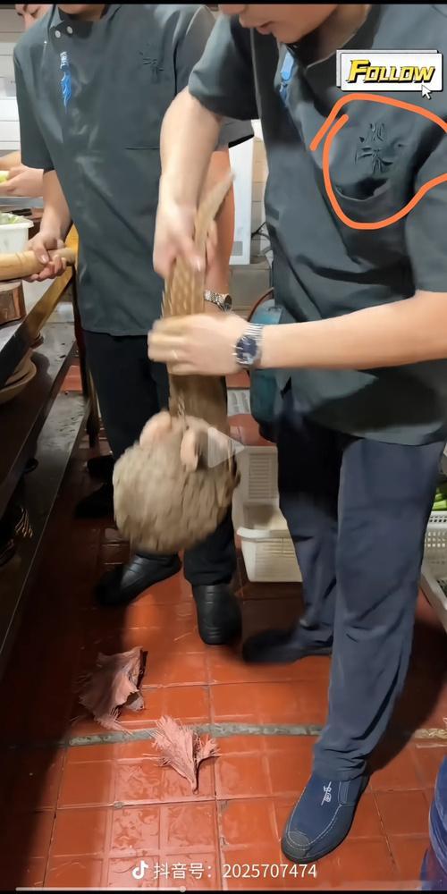 曝湖南某餐饮品牌厨房加工穿山甲  如果在老挝是允许加工和食用穿山甲的，而且视频是