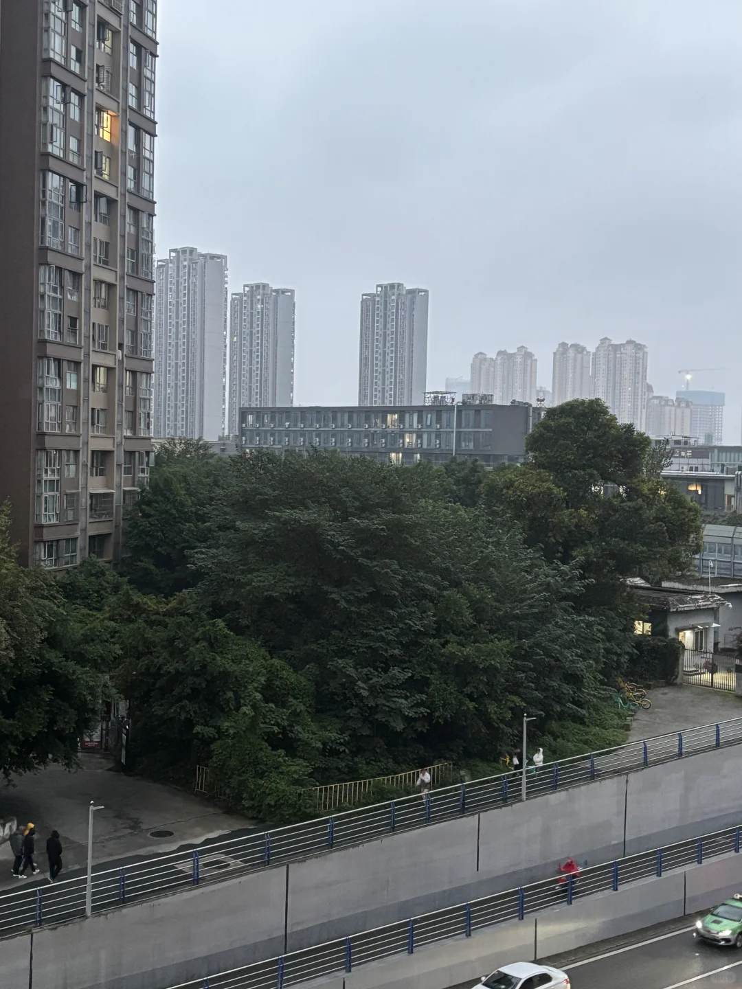 又到了成都致郁系季节了。。。。。。。