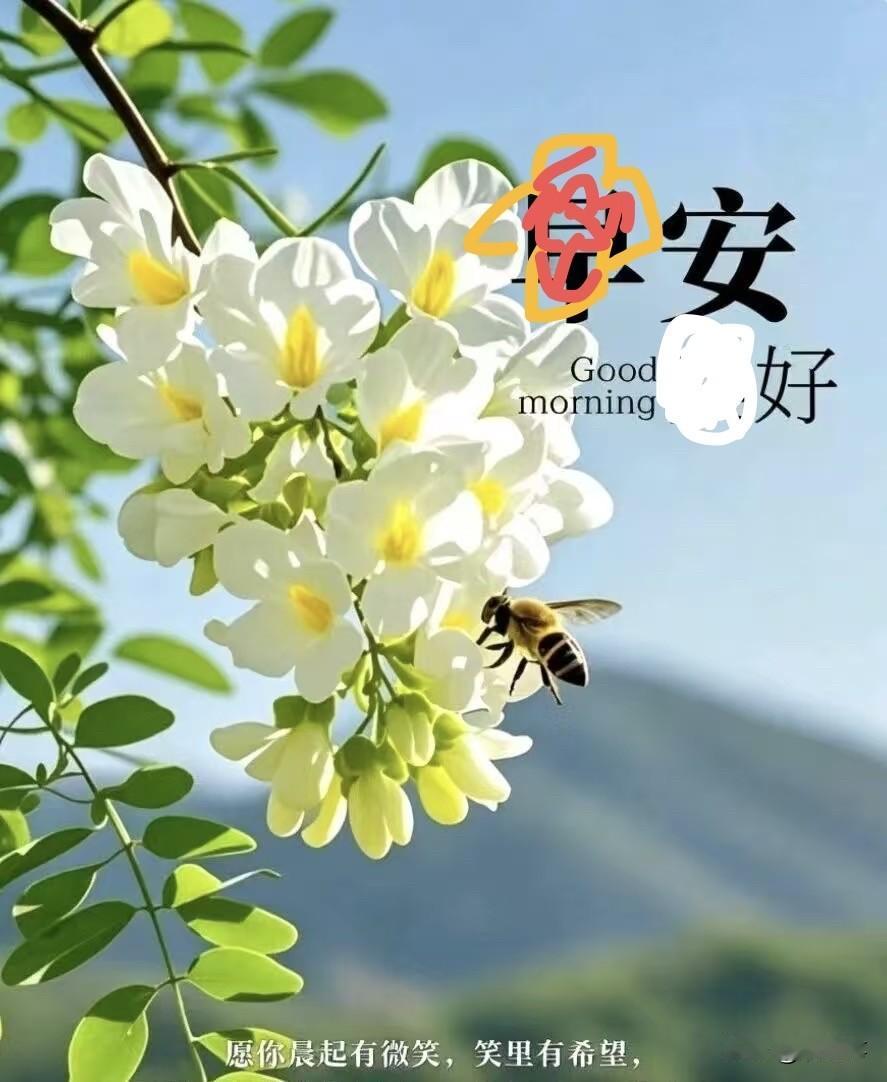 花花招蜜蜂🐝