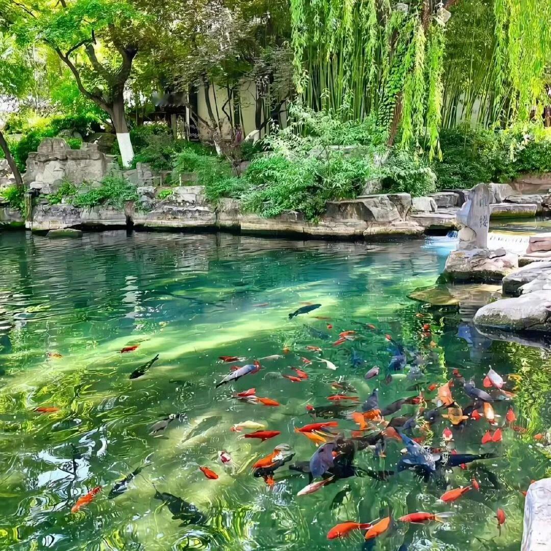 𝙒𝙚𝘾𝙝𝙖𝙩温柔治愈系背景丨朋友圈小众背景图｜ins风 | 氛围感 