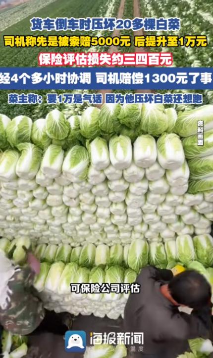 辽阳，男子在倒车的时候，压到了20几颗白菜，有人要求赔偿5000，后来报警，菜主