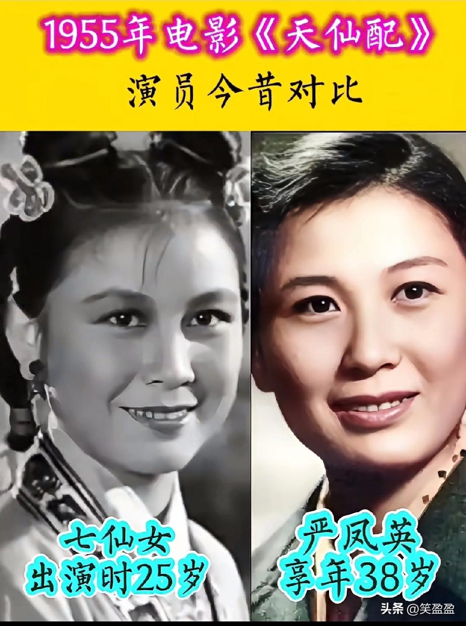 1955年电影《天仙配》
演员今昔对比
你喜欢哪位？
