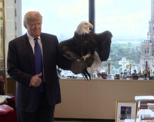 特朗普最近宣传表示，要在美国造一家MEGA炼油厂，年产820万吨，造价3000亿