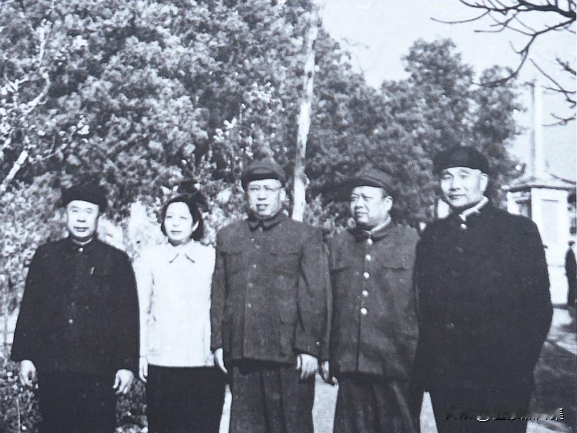 1958年春季，昆明市，人物（从左至右）：陈奇涵上将、罗荣桓元帅、林月琴（罗荣桓