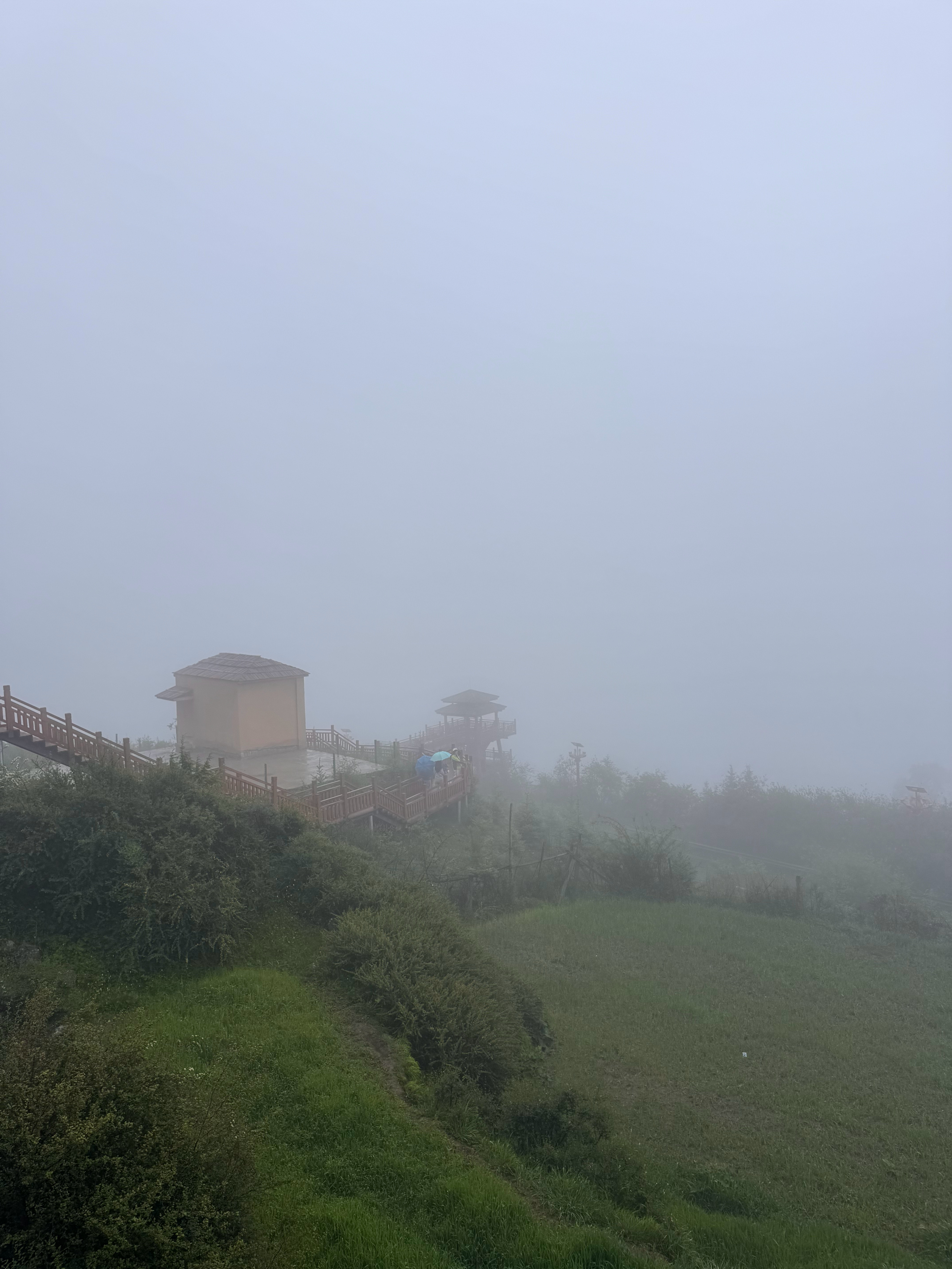 我旅游运 甘南·达日观景台