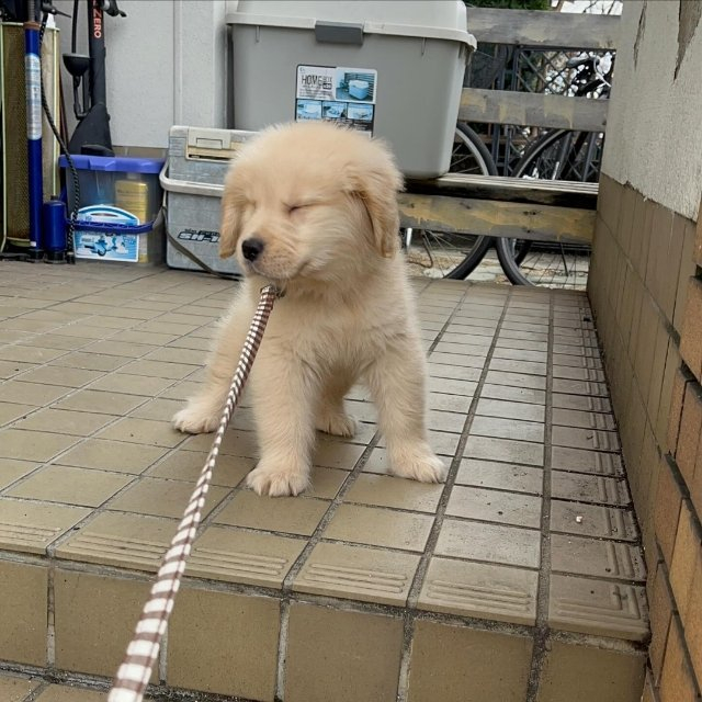 我不要回家！我还要接着耍！ 