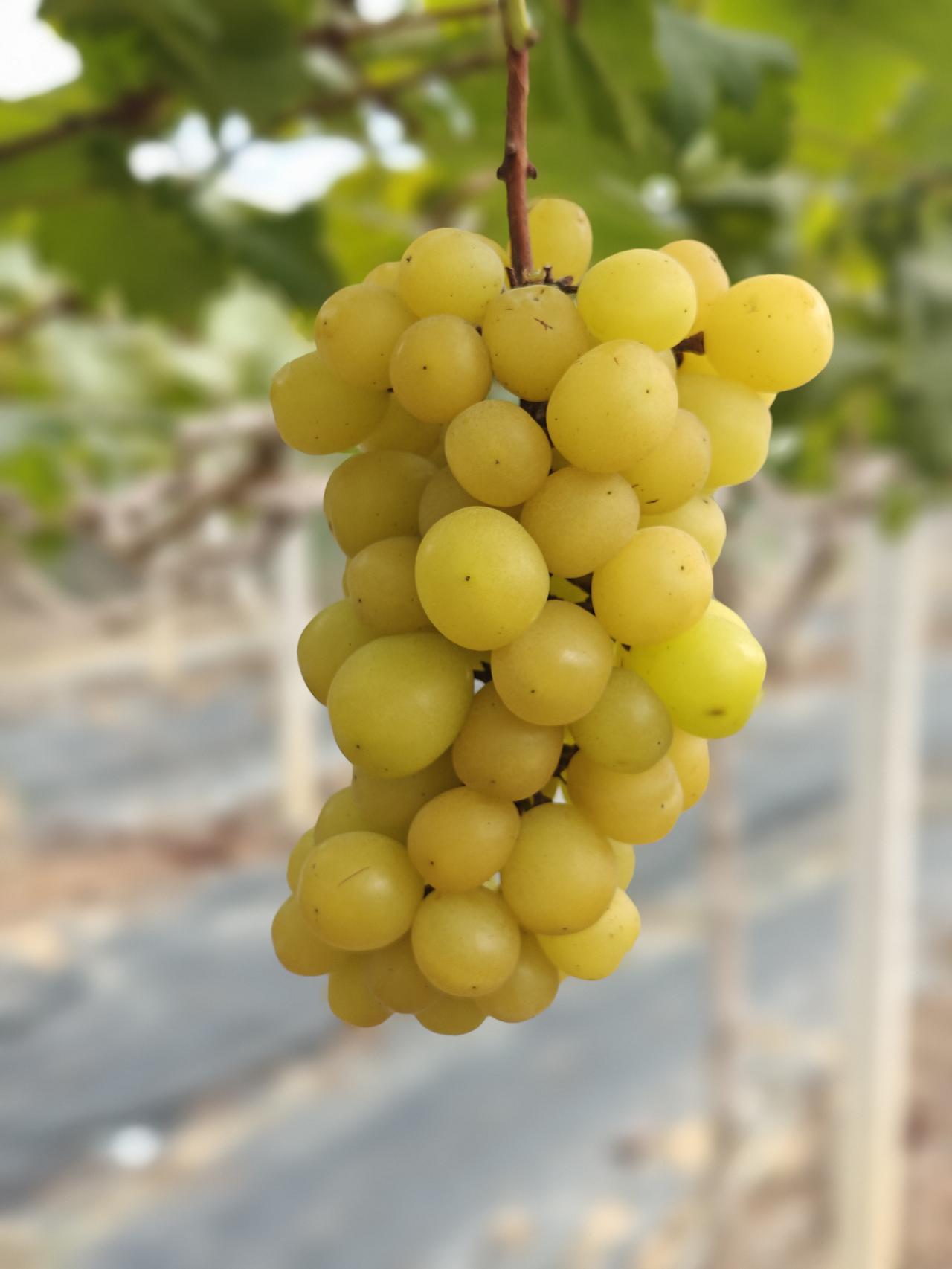 小聪明是真聪明吗？

领导开会布置了搞立体卫生的工作，强调绝不能留卫生S角，因为