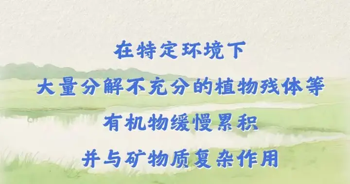 低价承包林地竟为盗挖泥炭土？法院判了！