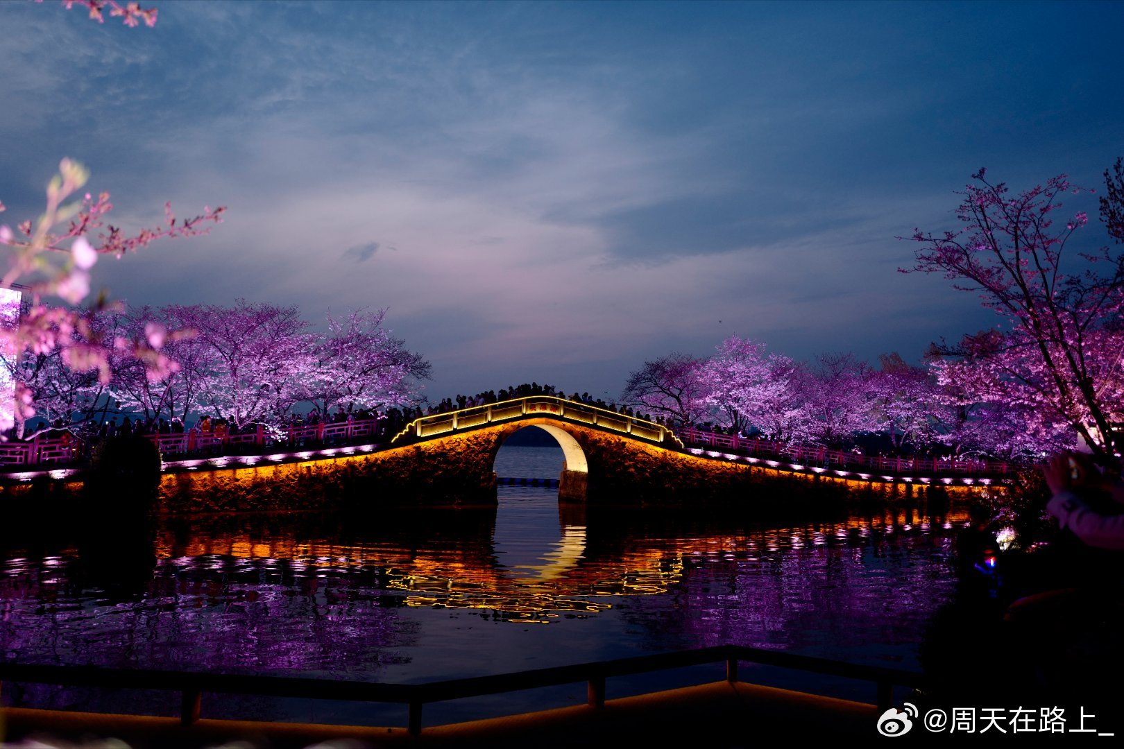 谁能胸贮三万顷我欲身游七十峰鼋头渚今日樱花状态属实不错了shot on:Xiao