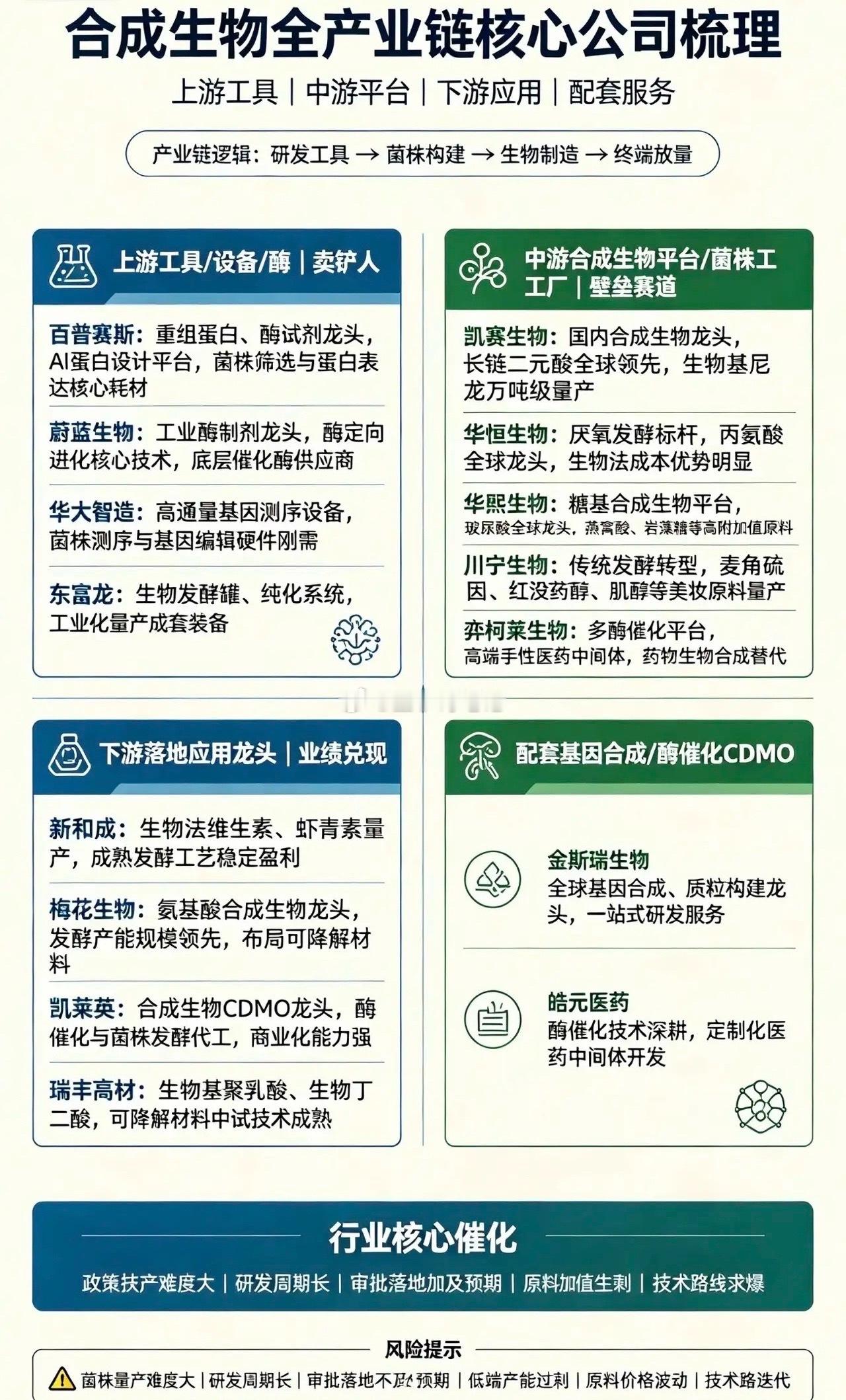 合成生物完整全产业链！核心龙头一口气讲透🔥兄弟们！现在市场新的超级风口——合成