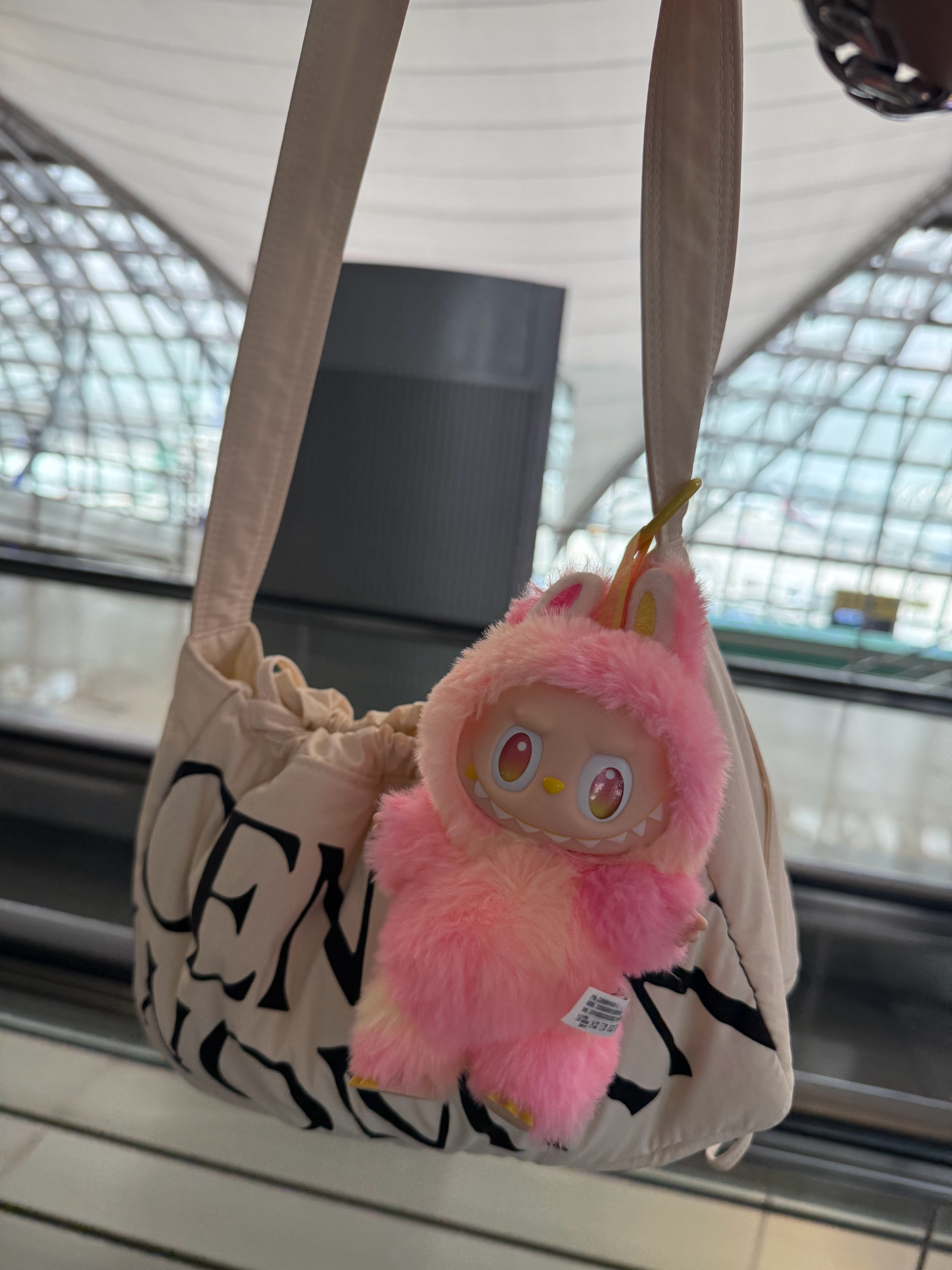 在机场看到一个很特别的现象，很多游客拿的手信袋子都是Labubu…… ​​​