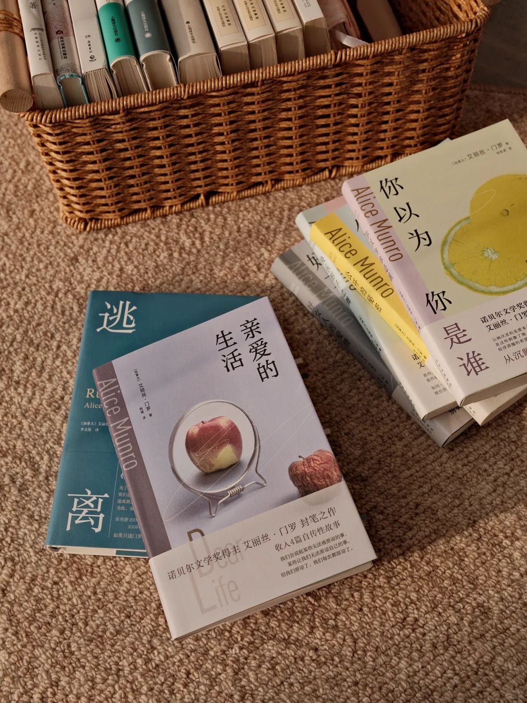 没有谁能从门罗的故事里走出来