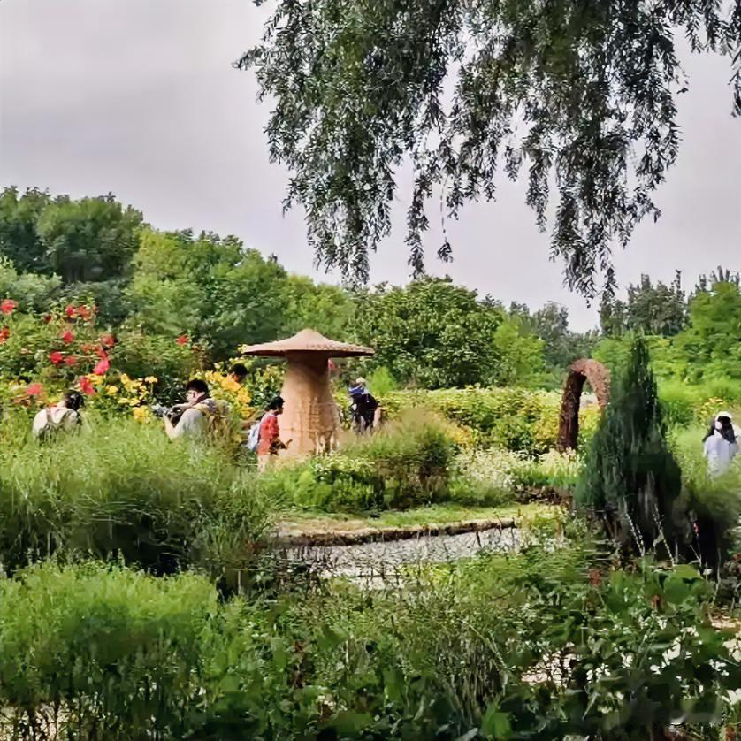 夏日的温柔是雨后公园的惬意漫步，树木愈发翠绿，花儿更显艳丽，目之所及满是清新美好