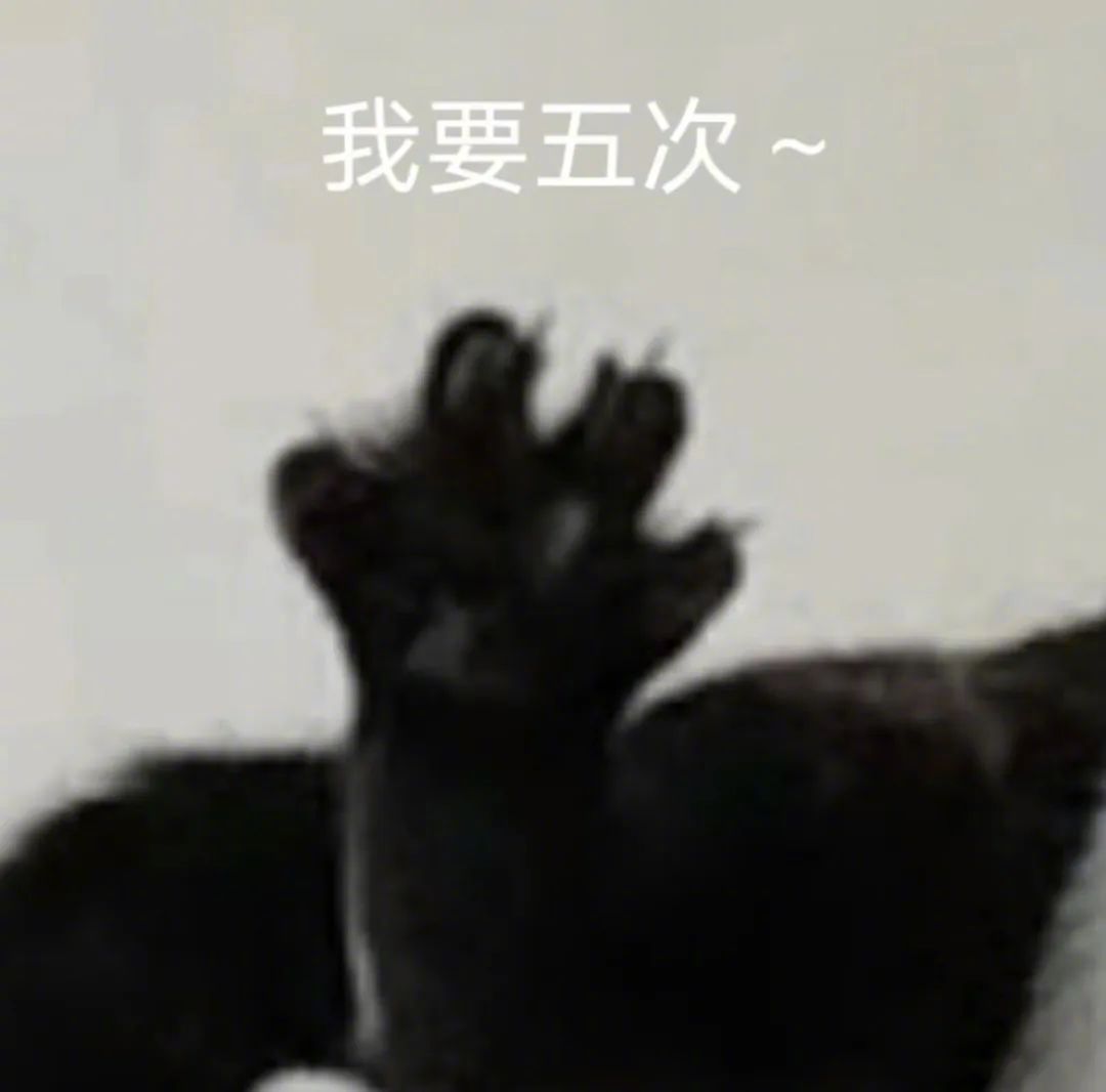 魔性沙雕图，可爱到犯规 #表情包# ​​​