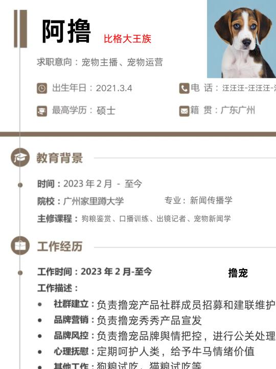 人，可以帮比格大王内推吗❓