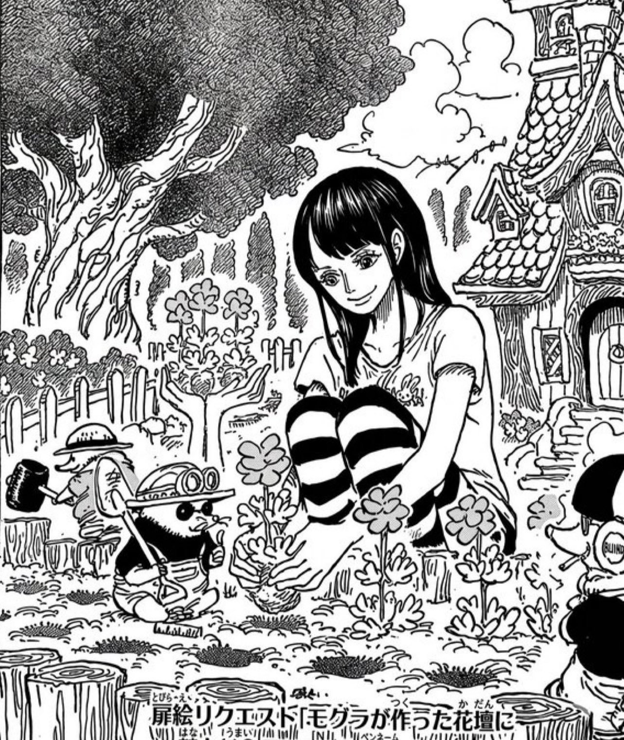 海贼王 海贼王 本周漫画扉页是罗宾酱，好美啊！ 