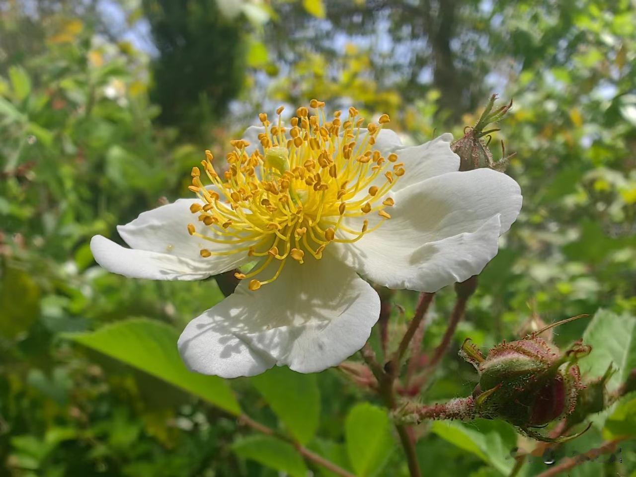 【小对联】
上：花雨；
下：……？