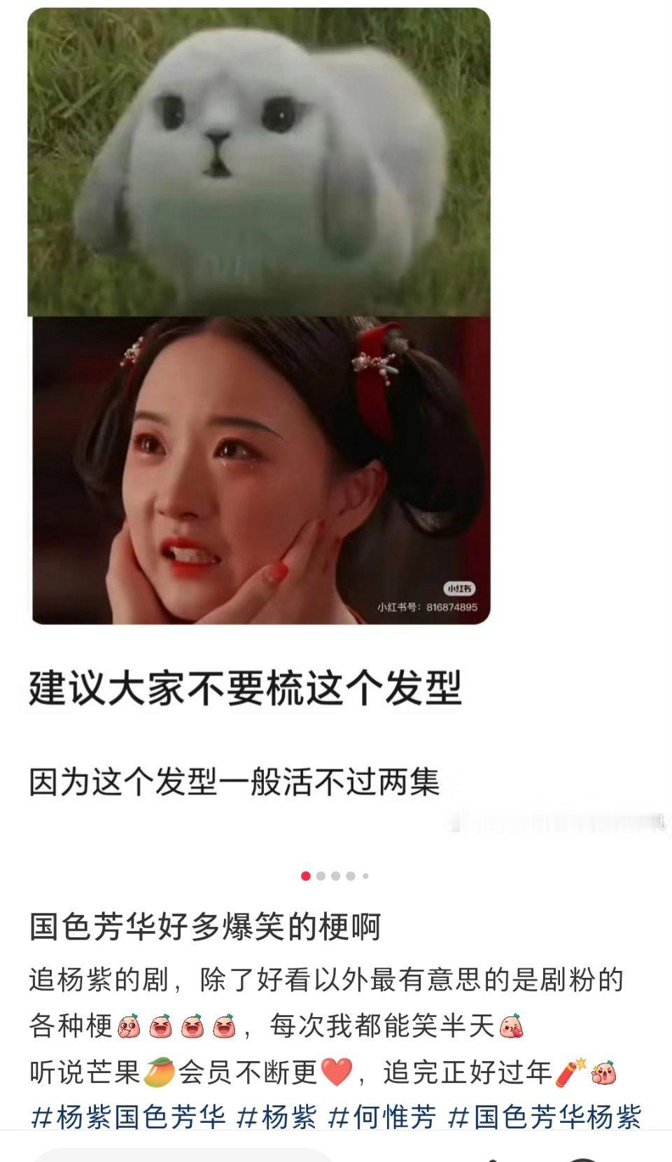 杨紫剧粉 杨紫剧粉可是出了名的有梗，每天能笑死在国色芳华评论区。杨紫剧粉和杨紫何