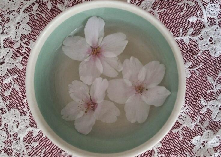 【背景图】分享‹𝟹₊˚⊹♡蓝色|绿色|粉色|梦幻|复古|花朵|文艺|朦胧|高级
