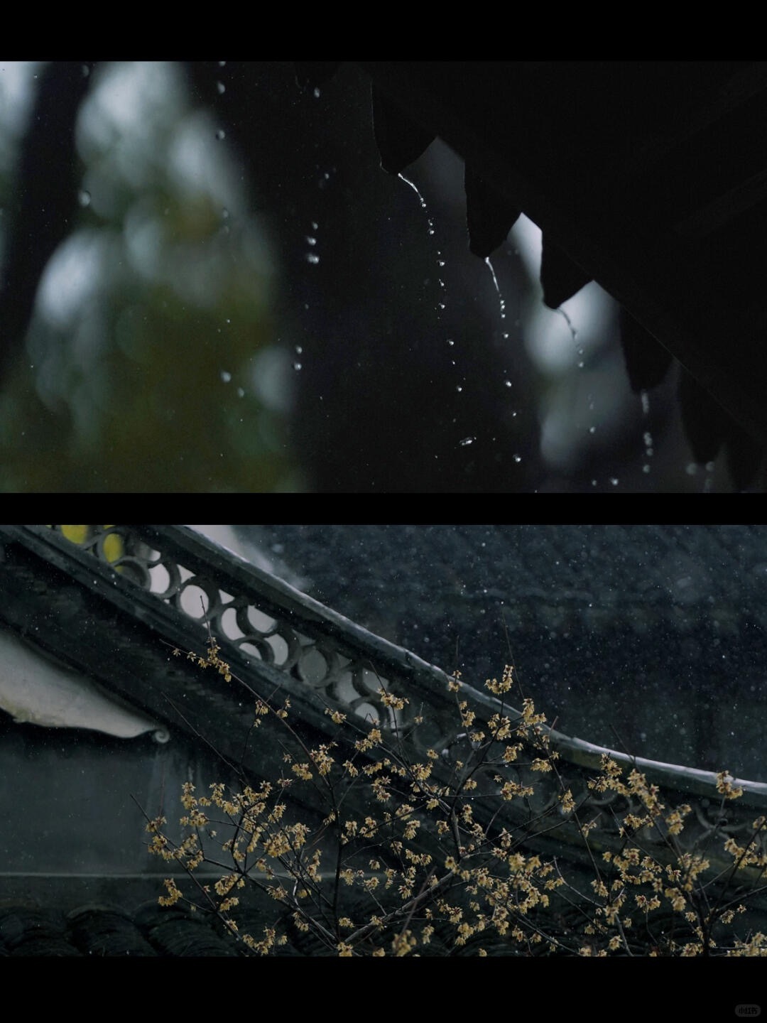洞察自己的内心活动，叫觉察；能梳理清晰自己内心活动的来龙去脉，因此而产生的领悟，