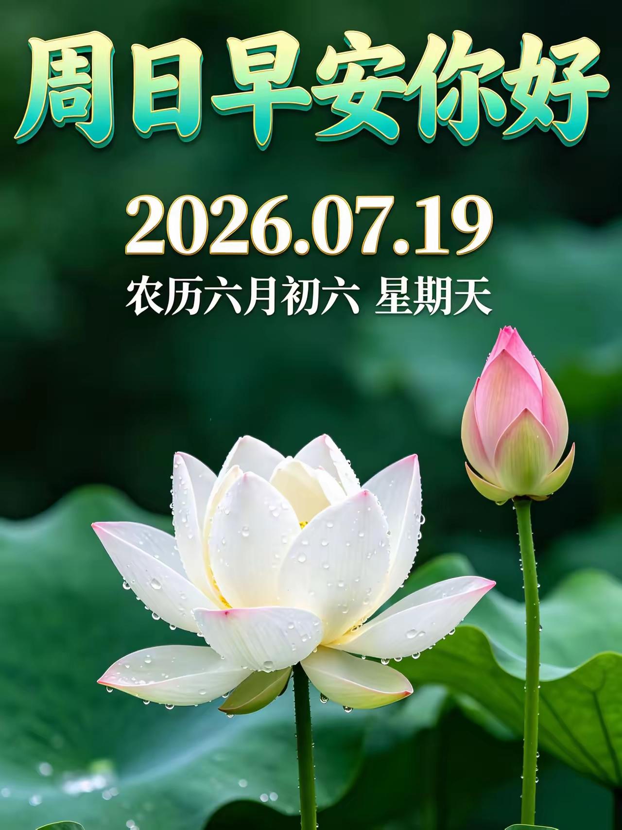 7.19日[燃烧的心][福]早上好[招财进宝][心]
周日快乐！平安喜乐、幸福安
