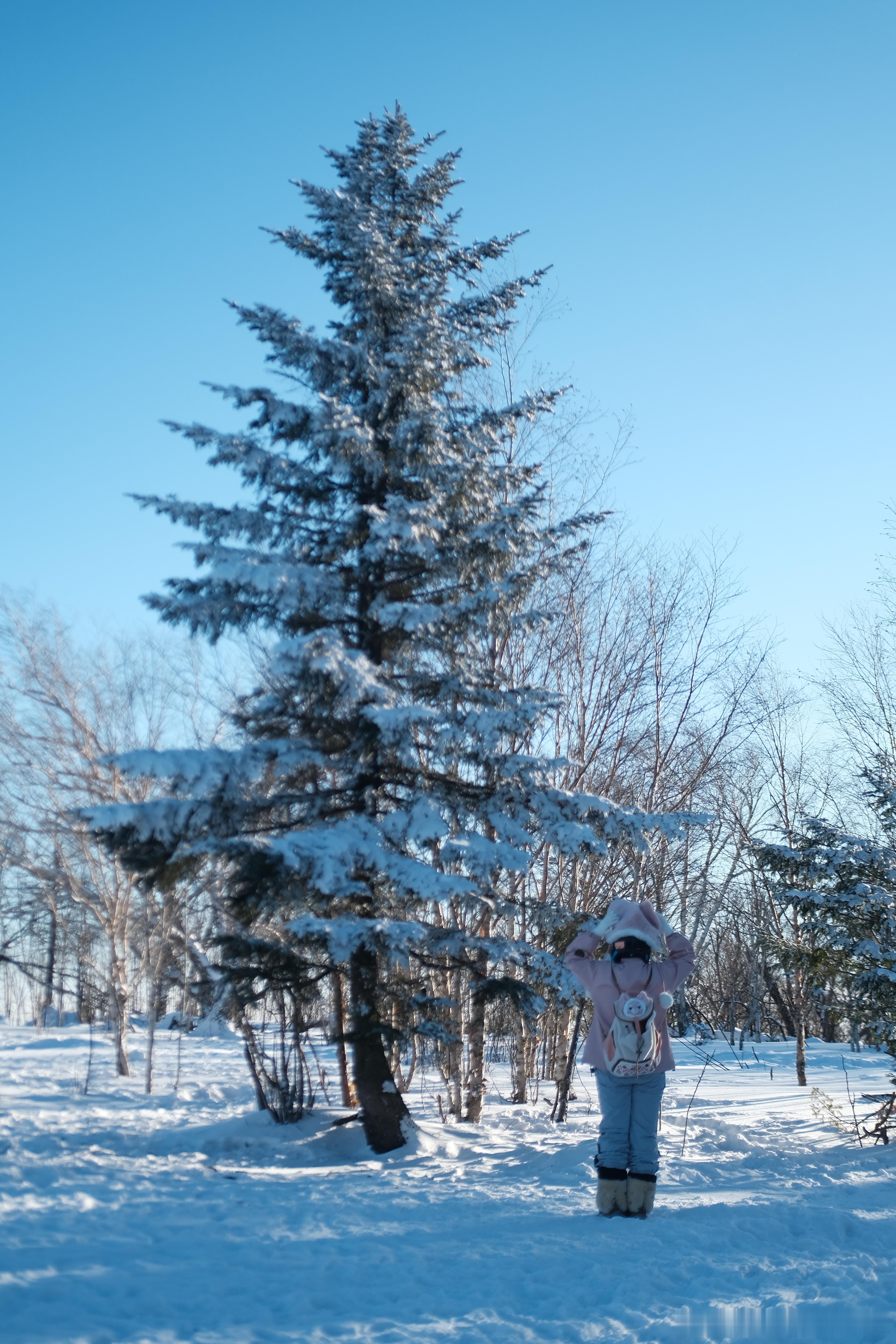 𝐓𝐫𝐚𝐯𝐞𝐥 / 在北大湖实现了雾凇自由❄️属于吉林北大湖的冰雪仙境