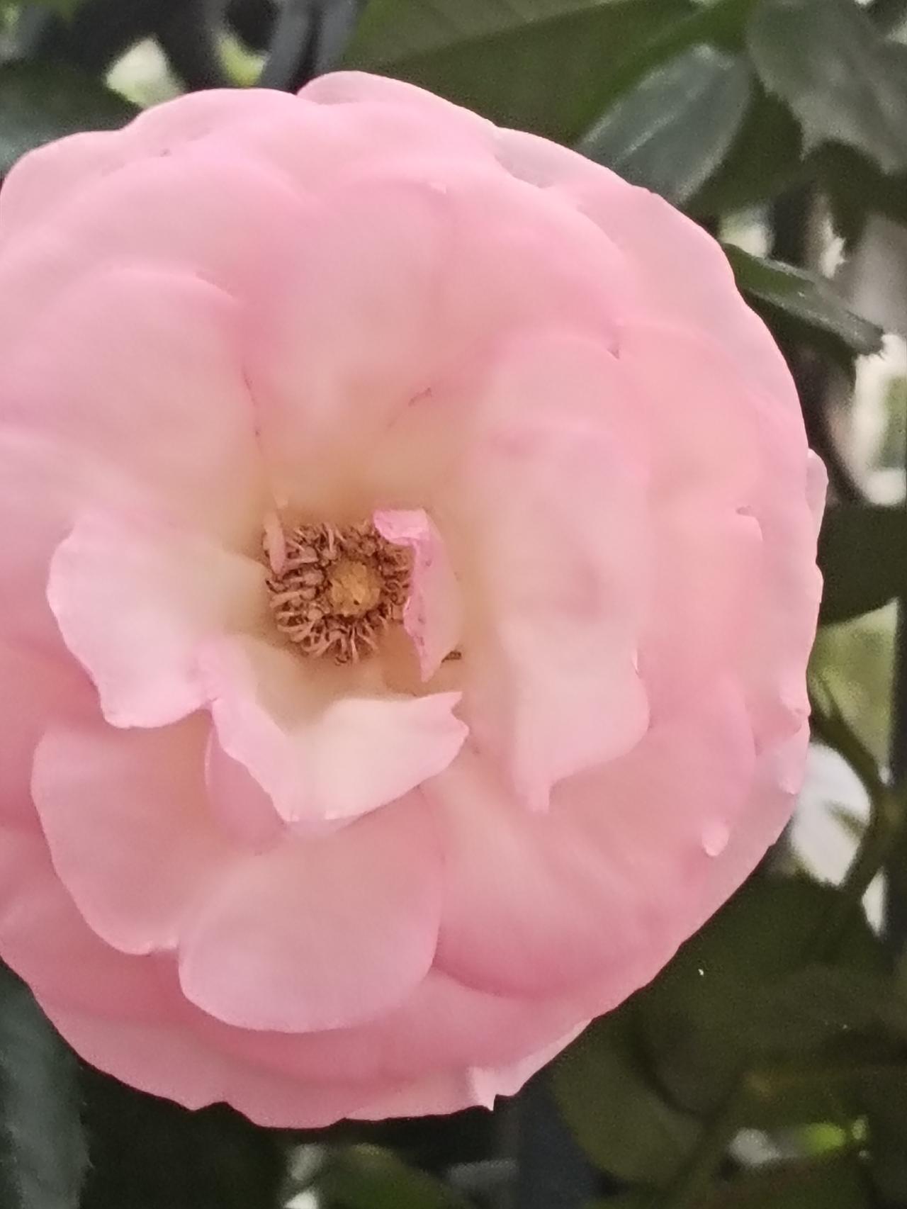 今年春天最想实现的心愿