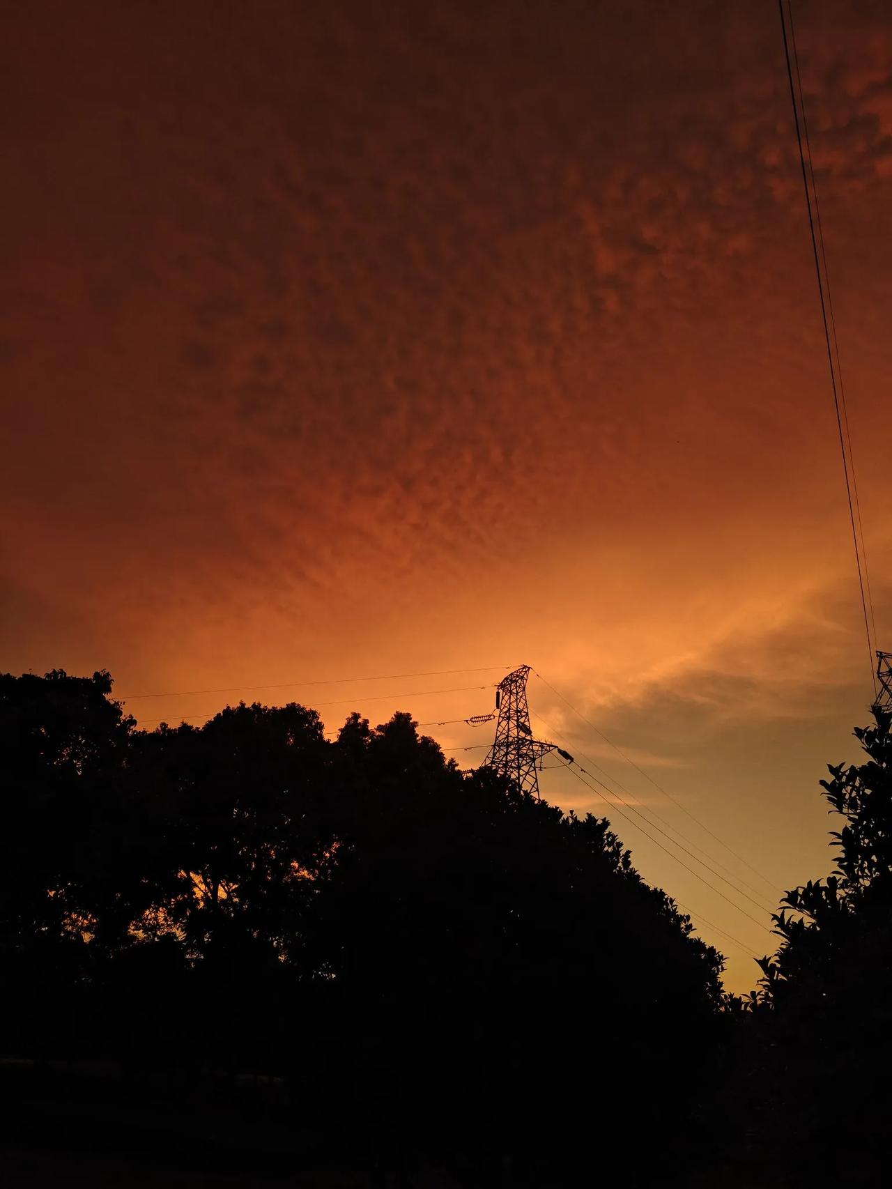 参加，我在头条都第2735天啦。今天8月8号周五，晴转多云，可我心情不咋好。快一