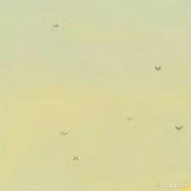 “不吃他人饭，何惧他人言，背后议论你的狗，什么品种都有。” ​​​
