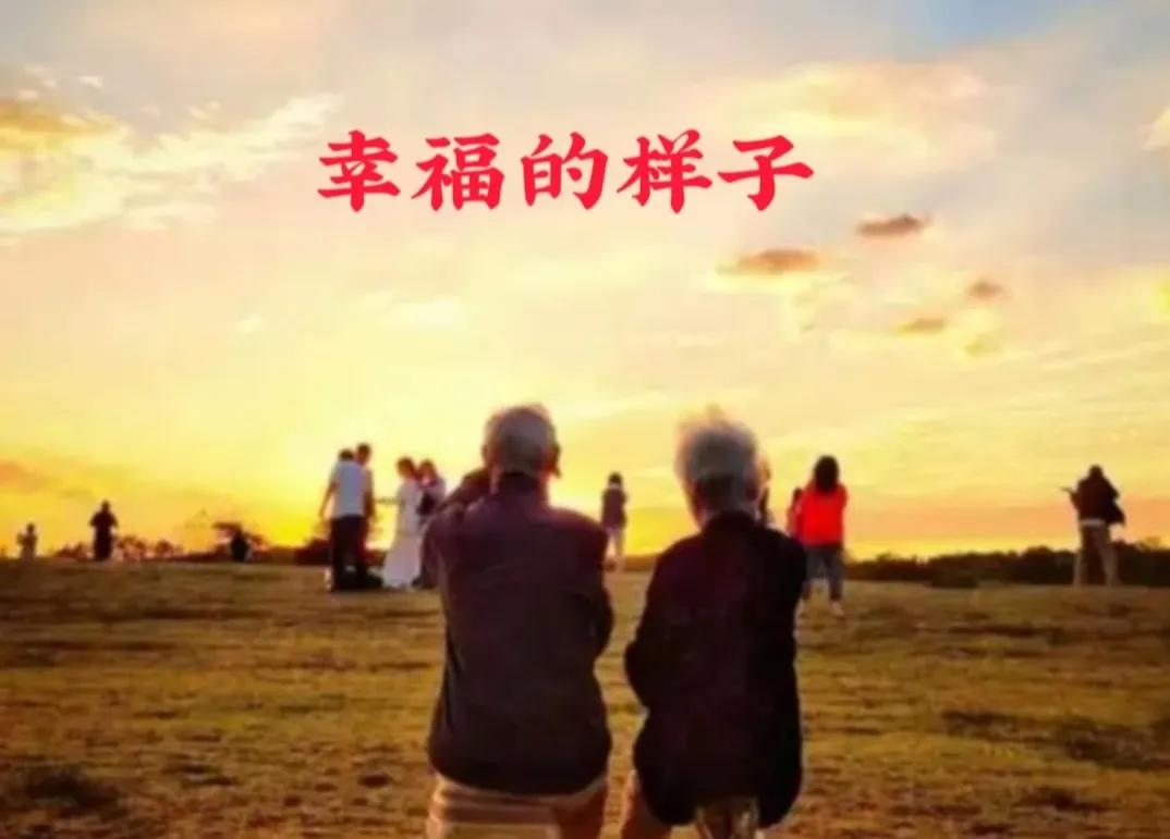 幸福或许有许多模样，但归根结底，它不是遥不可及的风景，而是藏在日常琐碎里的微光。