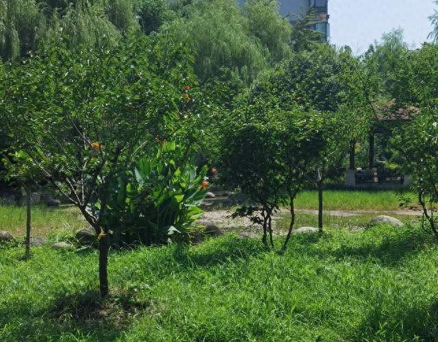 小区治理为什么治不好？根源不在物业，在“微型社会生态失衡”
