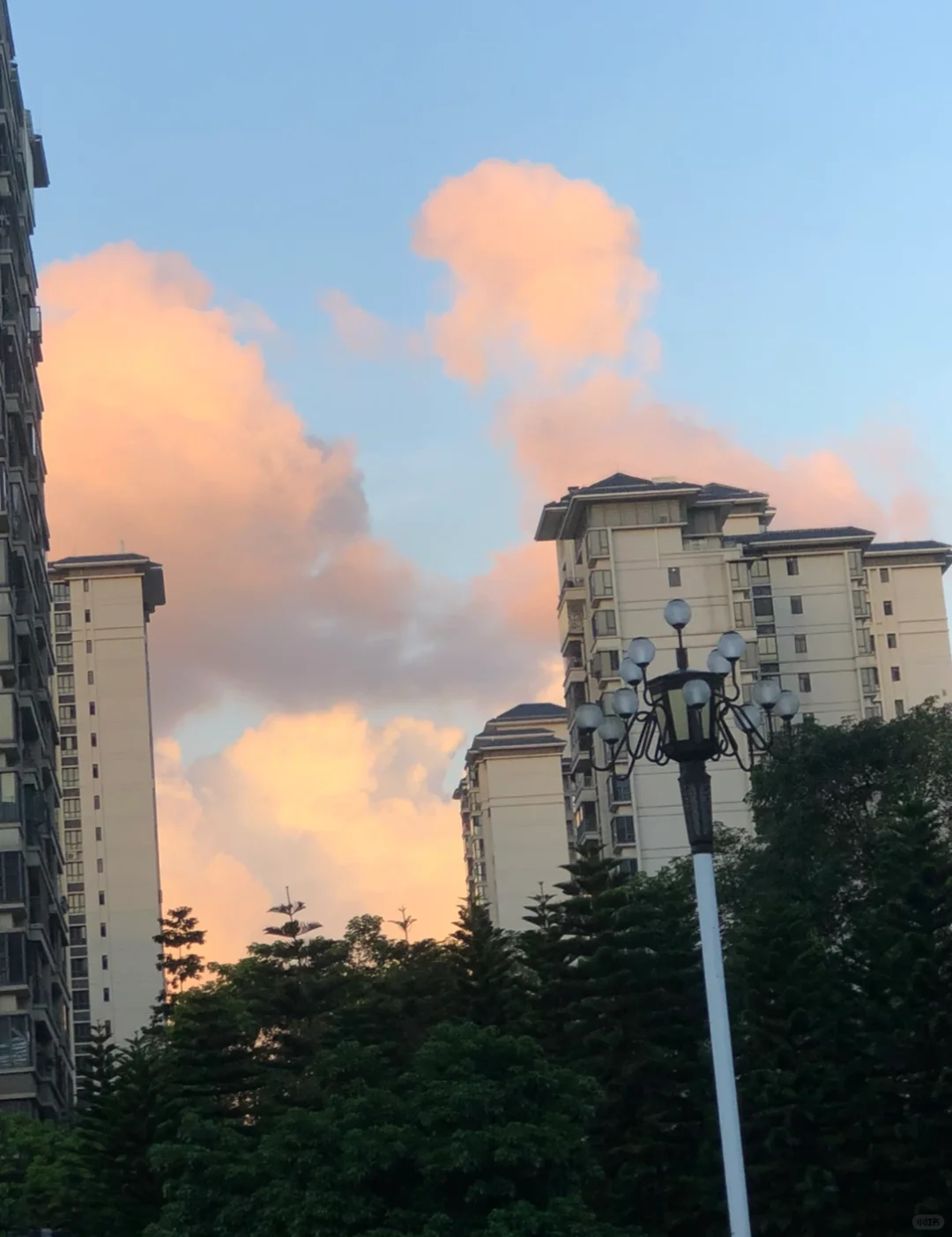 人类为何都爱看天空