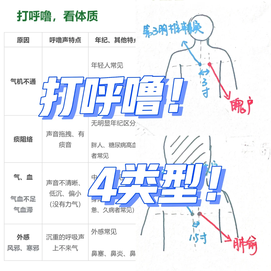 听呼噜，辨体质👆简单保养2穴位