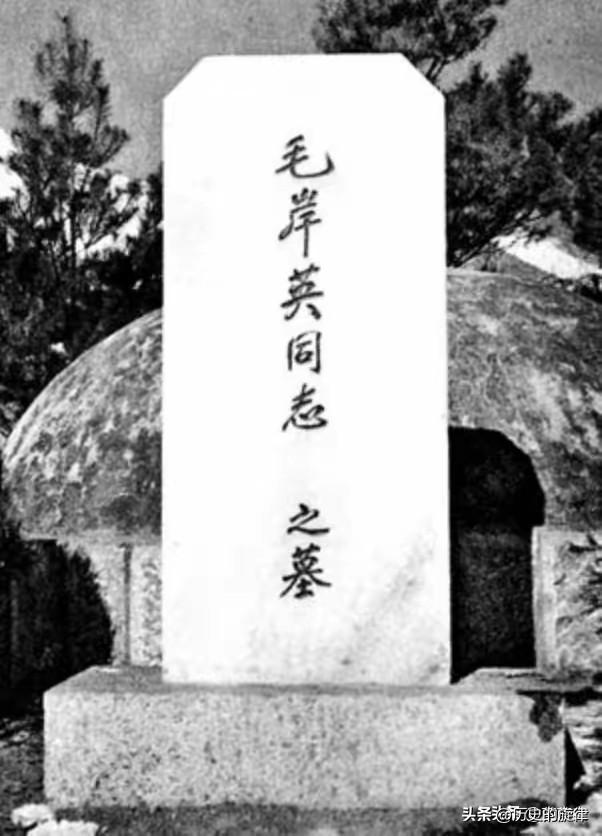 1990年，刘思齐为毛岸英讨回公道，这两个问题让中央高度重视
 
1990年，毛