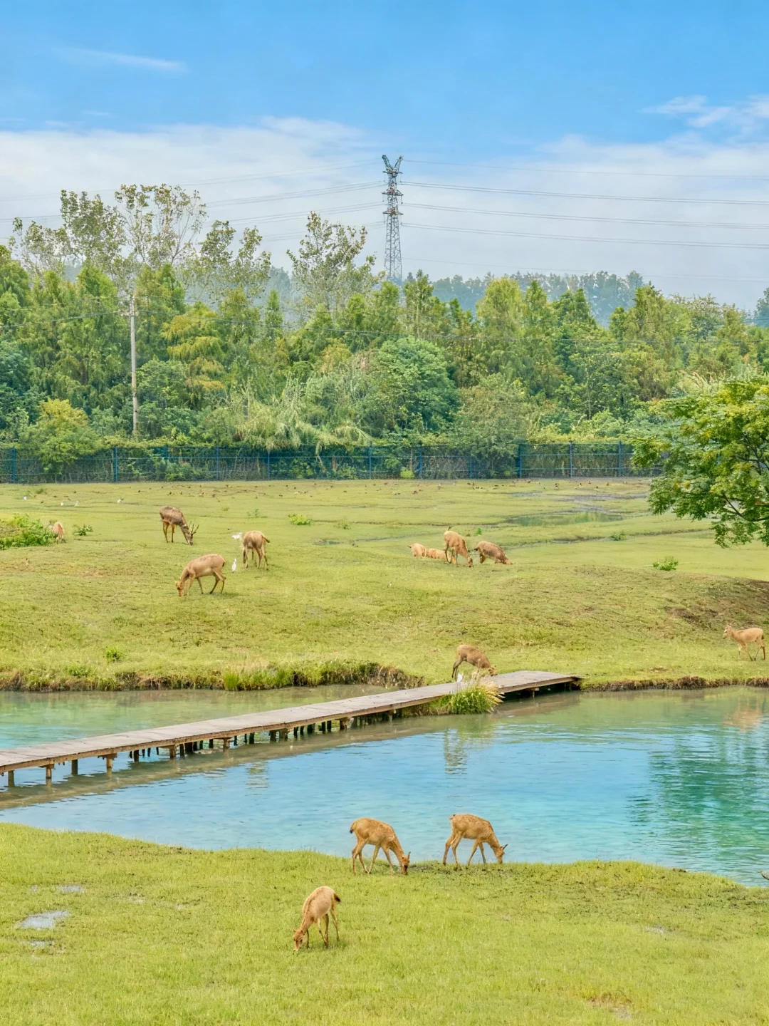 在国内❗️我真的很少用“震惊”来形容一个地方