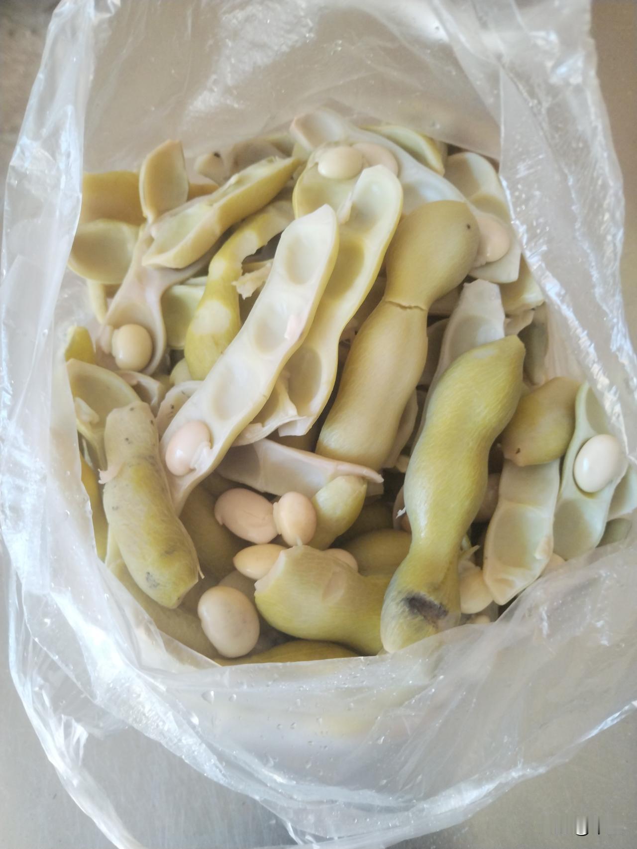 预防便秘健肾食材—猫豆

在乡村的广阔天地里，有一种别具特色的豆类植物——猫豆，