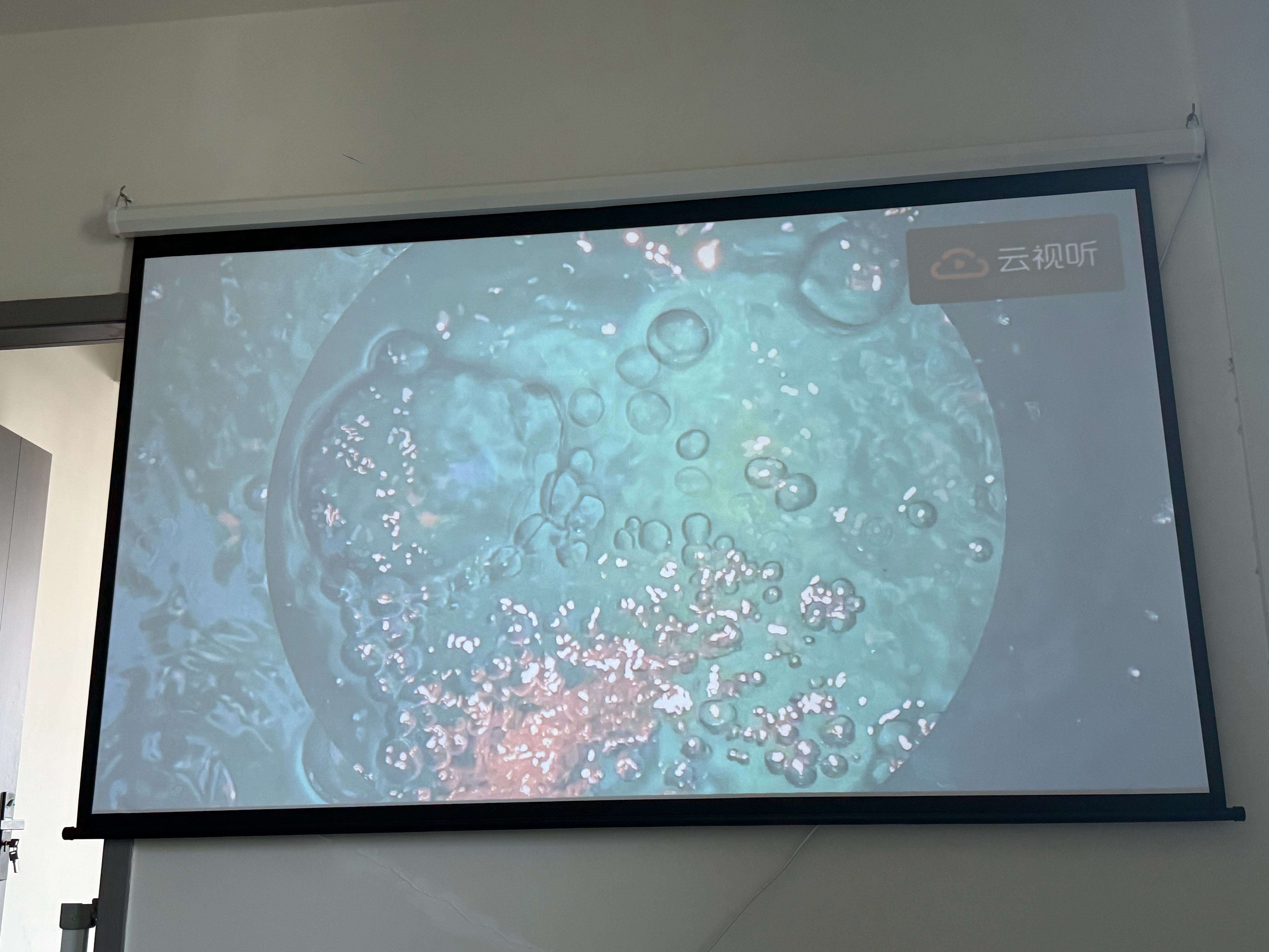 这个宠物tv并不吸引宠物的样子不过这个声音当BGM小狗确实能被安抚到 ​​​