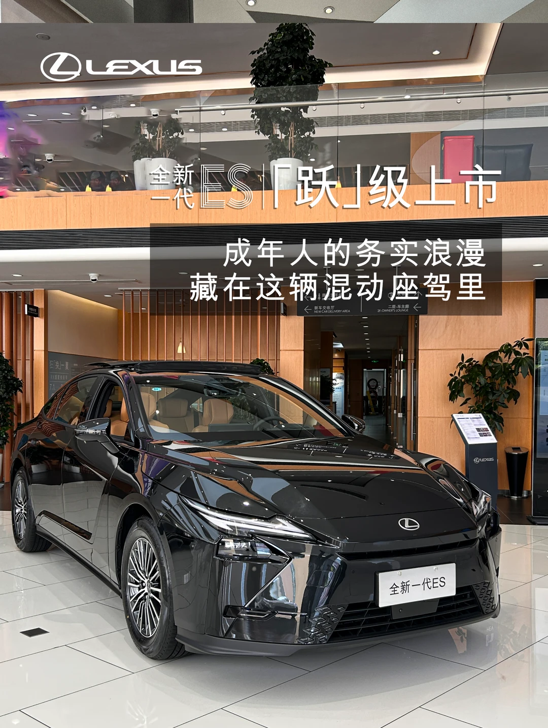 不盲目跟风品牌 读懂成年人的自我取悦！
