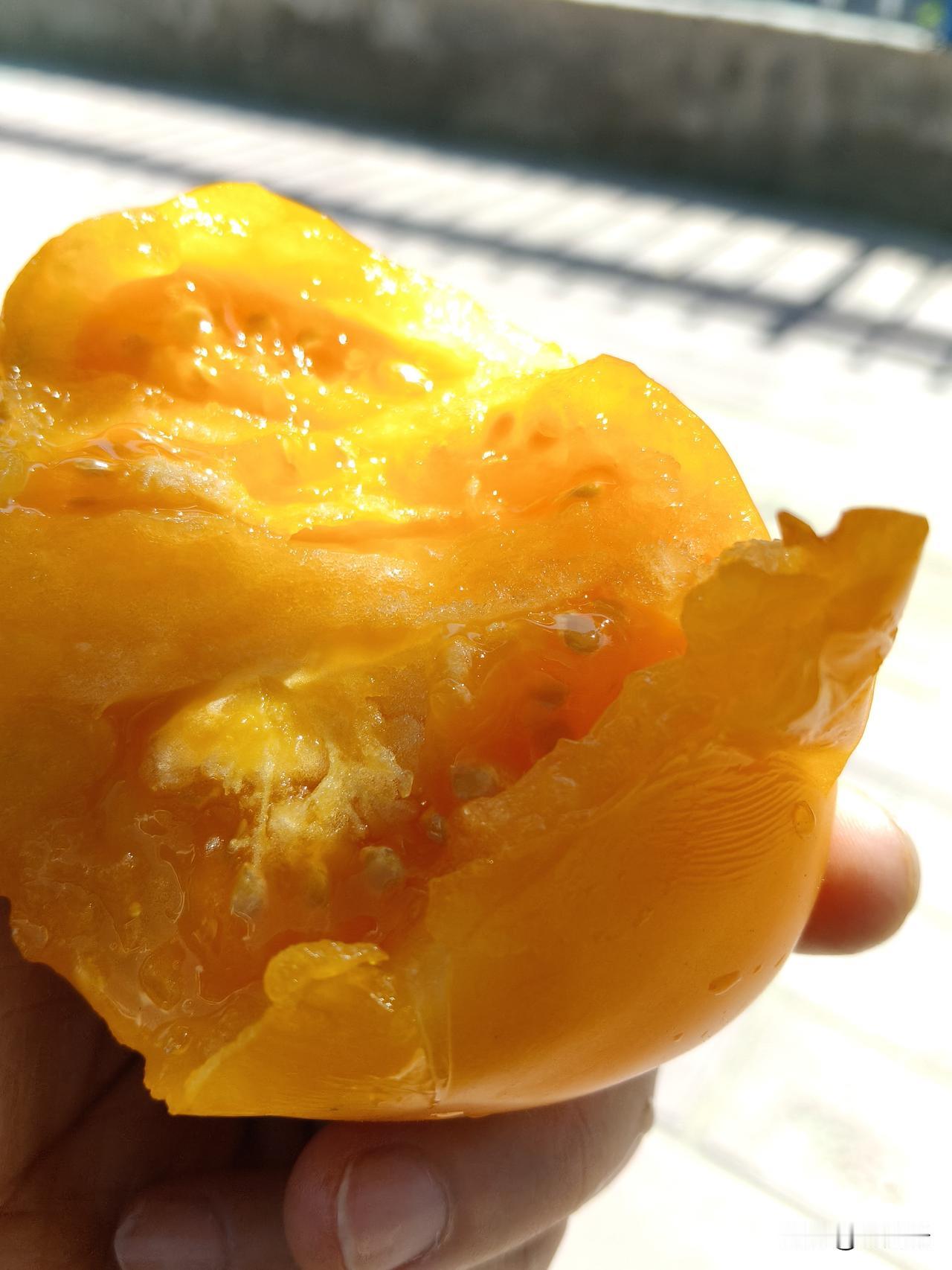 今天去兰州市西固区504新安路这边的一个菜市场，这里的蔬菜看起来很新鲜。刚开始的