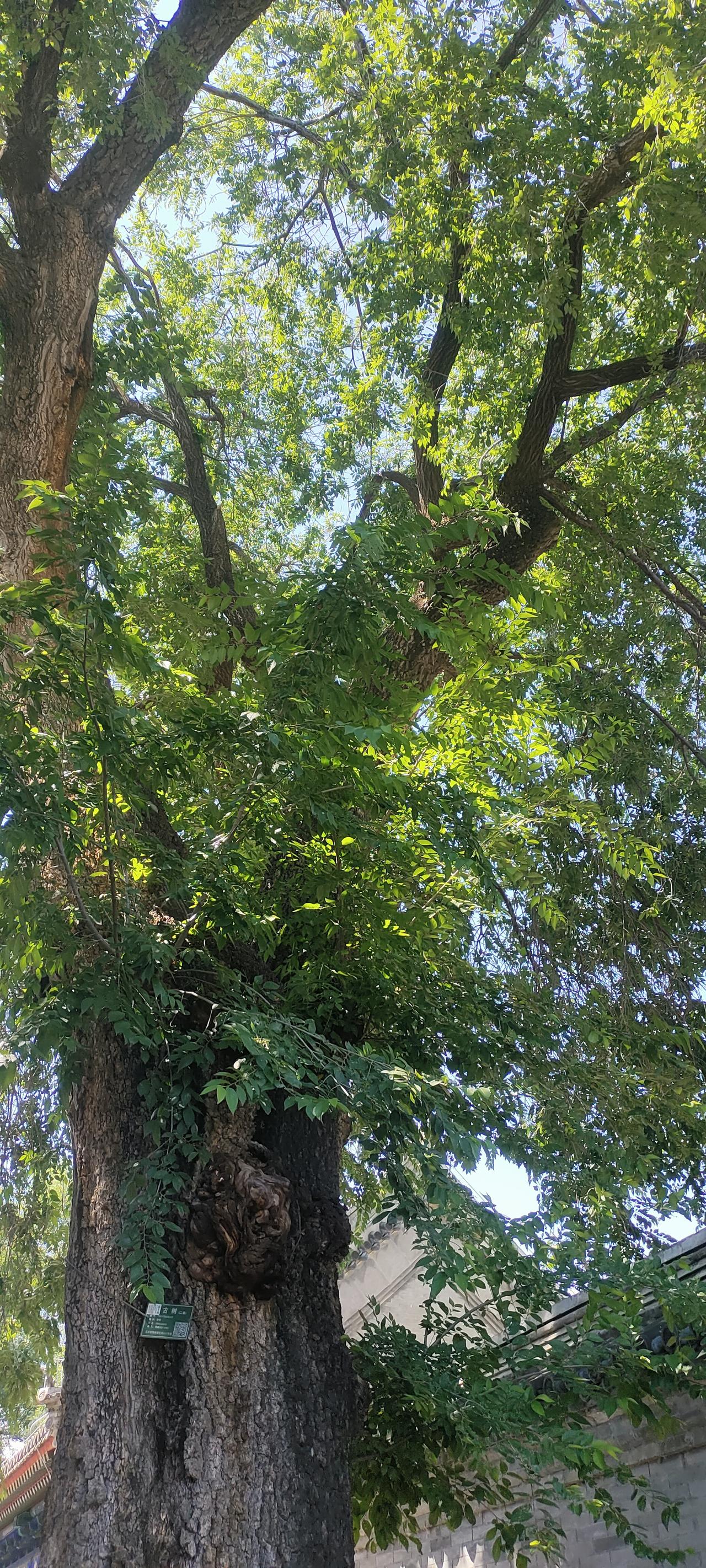 我70后

感觉自己人到中年

用不了什么钱

出门能走路就尽量不坐公交地铁
也