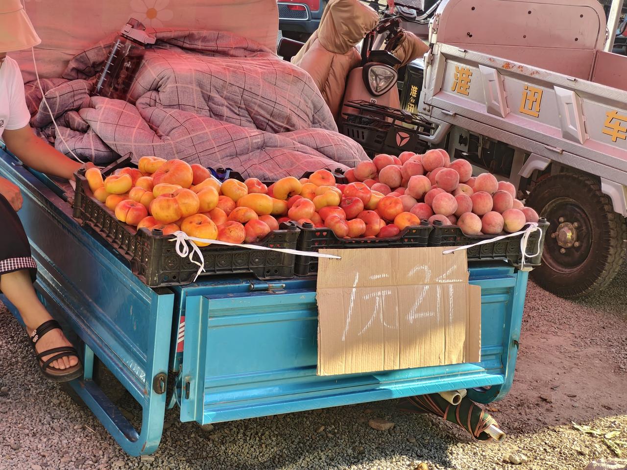 哎，在运城盐湖西街早市，新鲜的桃子🍑今儿卖一元2斤，您说有多便宜呀！

今年这