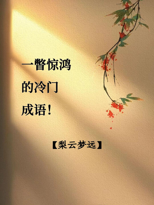 一瞥惊鸿的冷门成语！