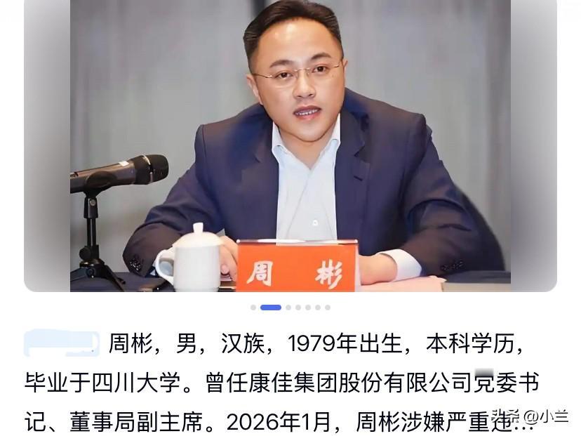 康佳集团的周彬上了热搜！他1979年底出生在海南，有着四川大学的本科文凭，他长期