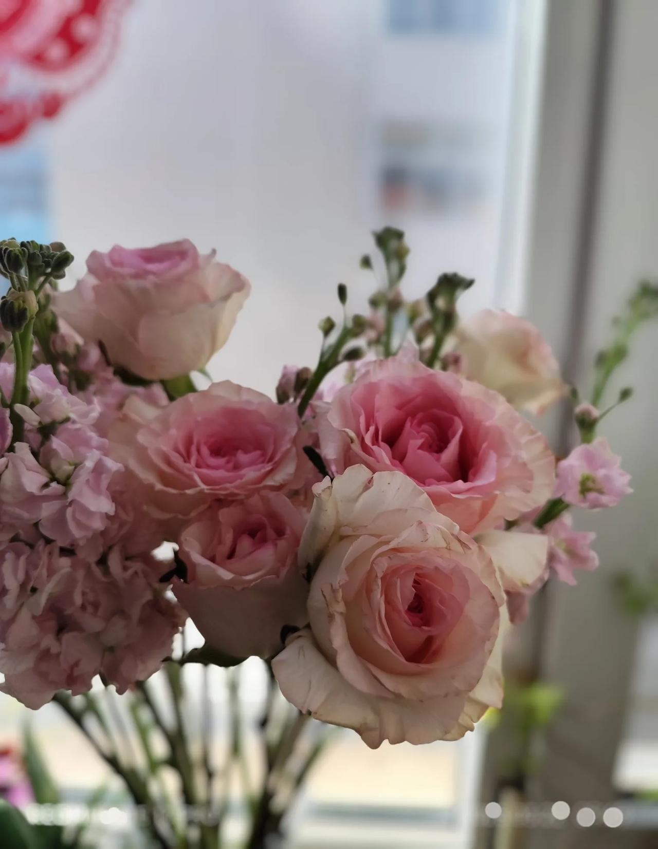 春天来了，又是一个轮回。

今天阳光明媚，北京的气温骤升至28度，季节的更迭，常