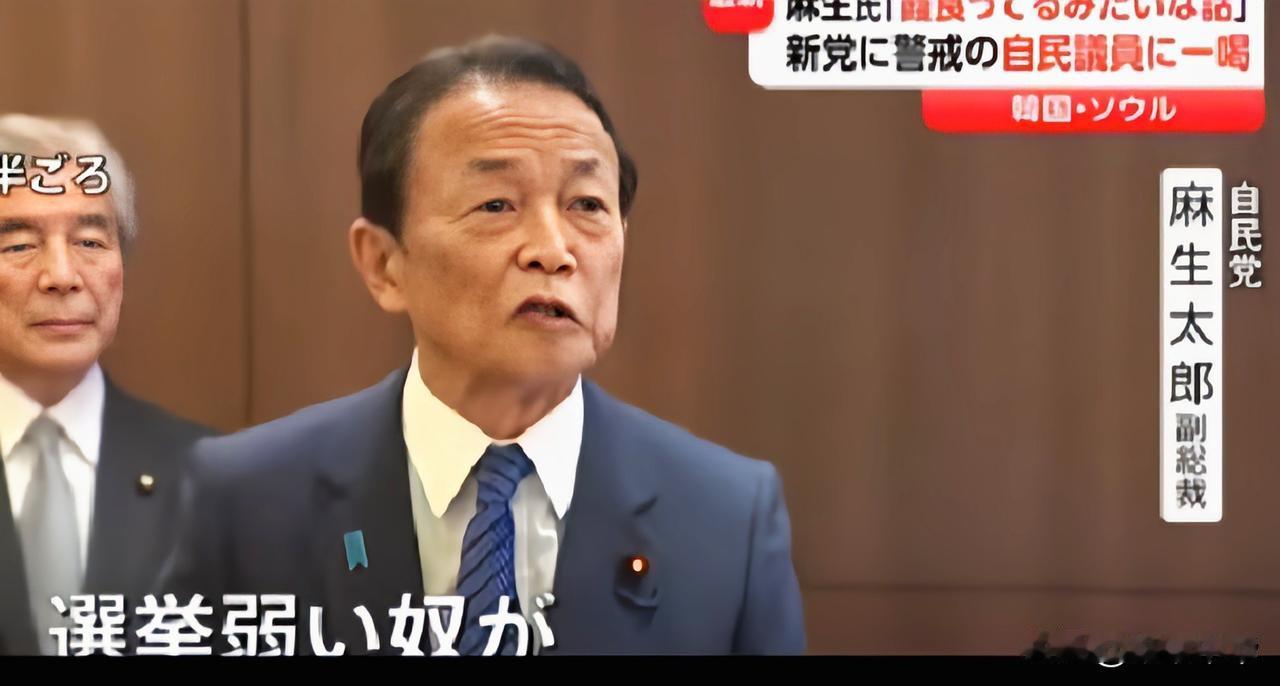 “老鸹落到猪腚上”，记者提问麻生太郎关于在野党抨击高市早苗解散众议院而重新选举的