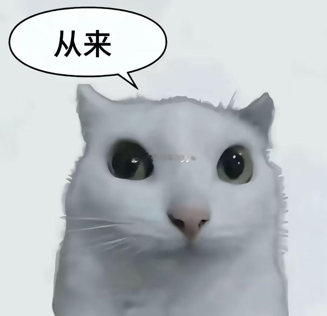 我习惯了 