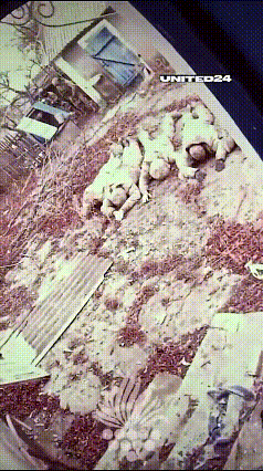 乌克兰士兵就是这样俘虏俄罗斯占领者的，俄俘虏全部趴下，手放到头上，防止偷袭！往地