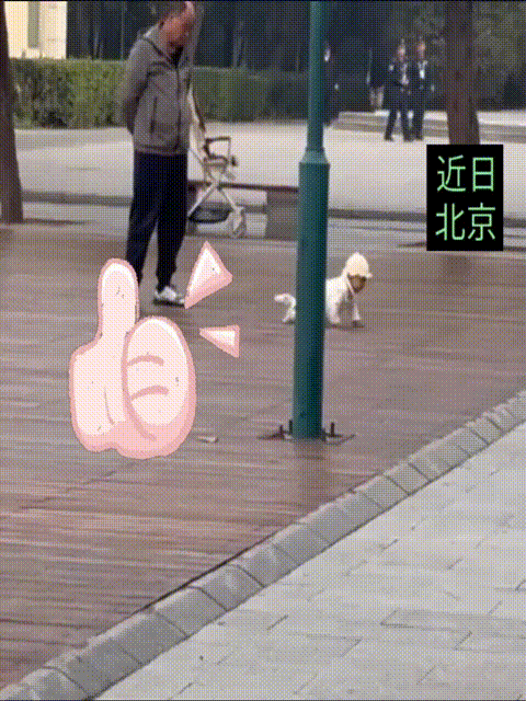 北京大爷溜娃的方式真的不一般啊！也不知道儿媳妇会不会生气，好多人都支持大爷，觉得