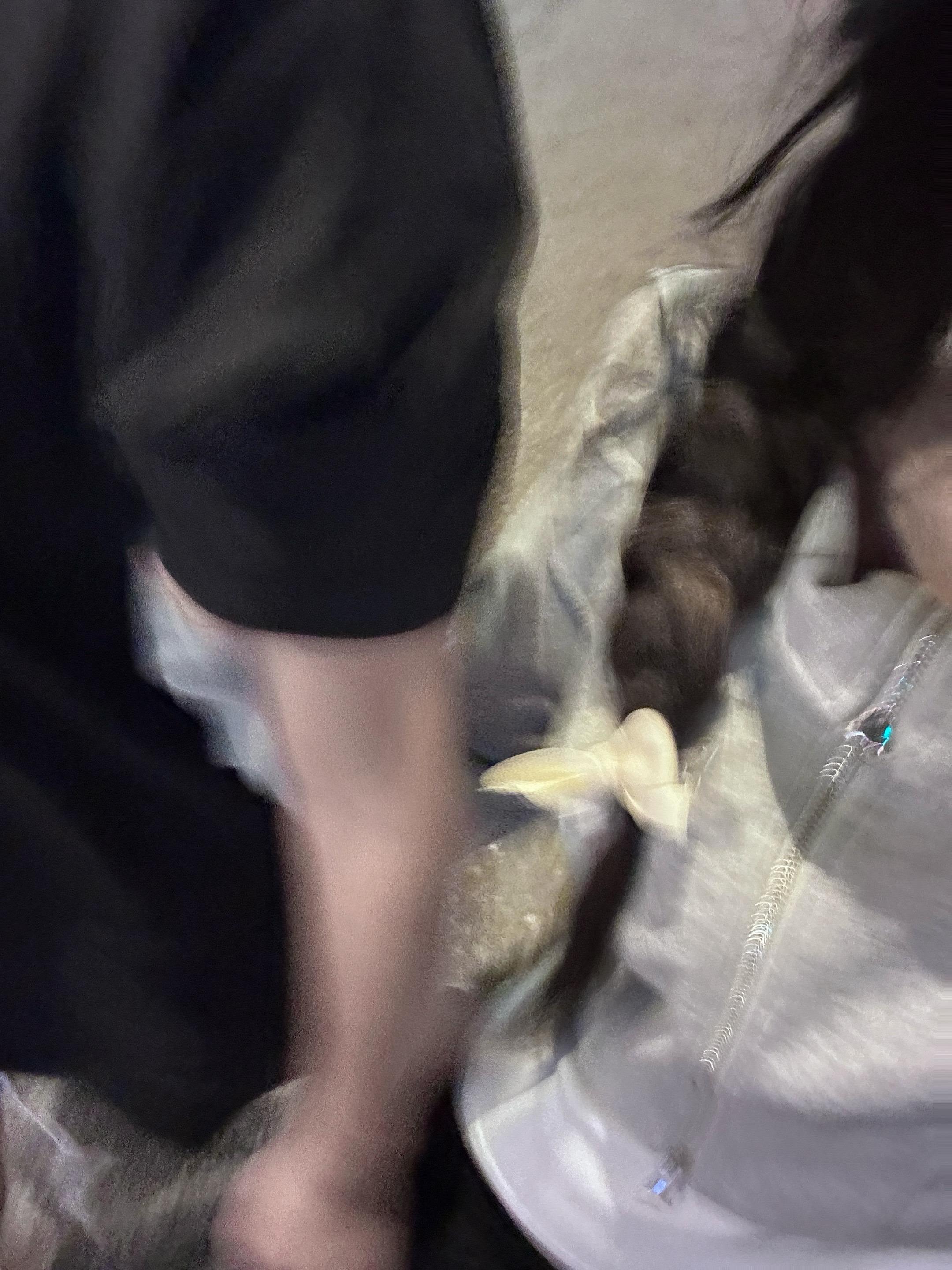 一家三口的生活合照